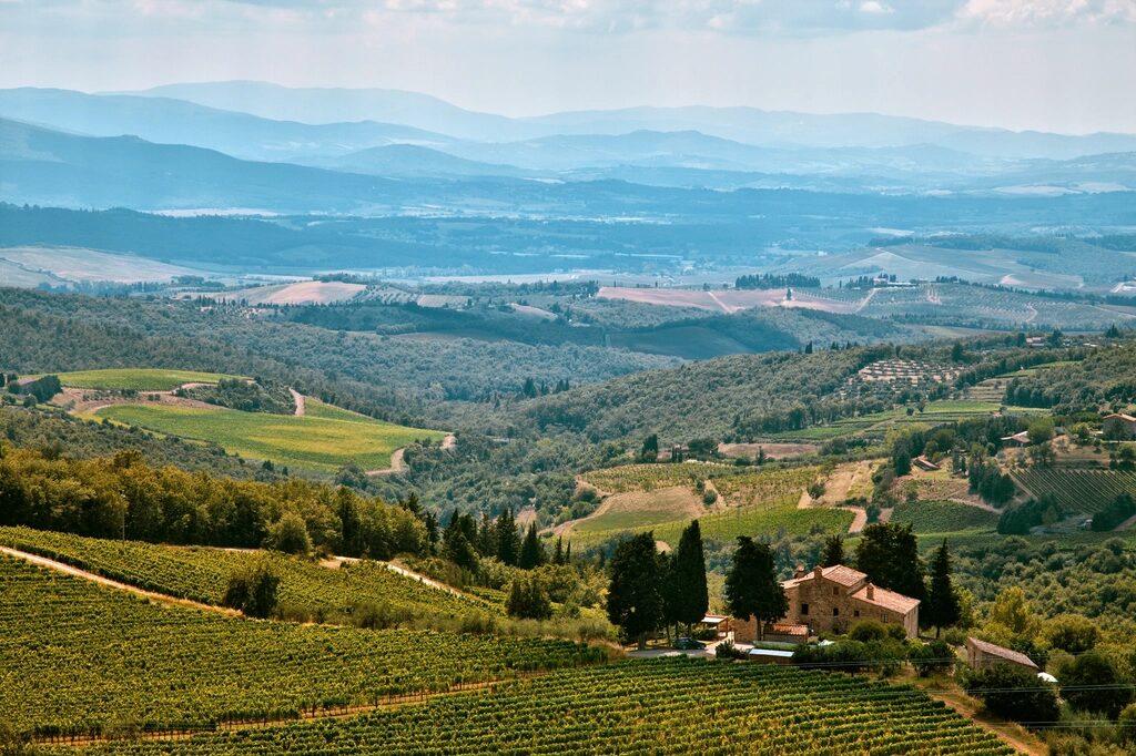 A stone estate villa overlooking rows of vines on the rolling, sunlit hills of a wine valley